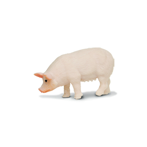 サファリ(safari) ミニブタ メス 347722｜【ハンズネットストア】