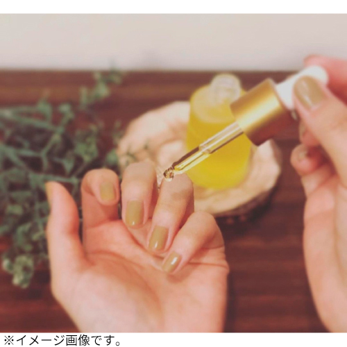 スプリングフィールズ（AuFloras SPRINGFIELDS） SFピュアオイルJ