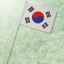 田中旗店 ミニチュア国旗M104 韓国
