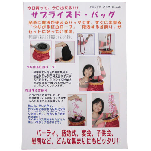 【クリックで詳細表示】S＆C サプライズド・バッグ