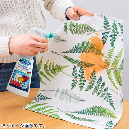 ドクターベックマン（Dr.Beckmann） プレウォッシュ ステイン