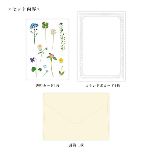 リュリュ（RYU-RYU） 草木花 多目的カード SMTC－02 ノノハナ