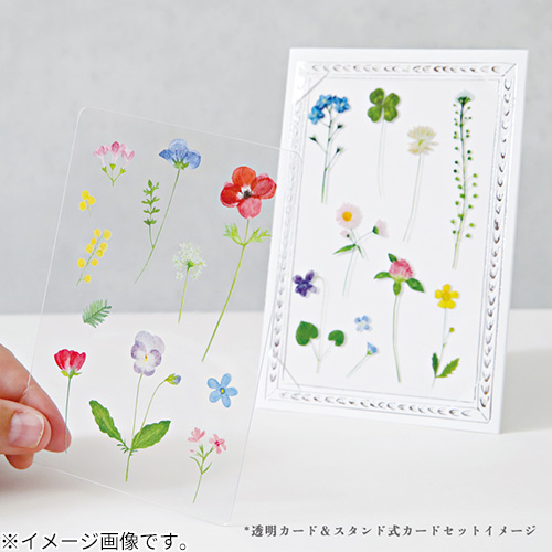 リュリュ（RYU-RYU） 草木花 多目的カード SMTC－02 ノノハナ