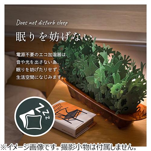 ミクニライフ＆オート ミスティガーデン2nd エバーグリーン×アンバー