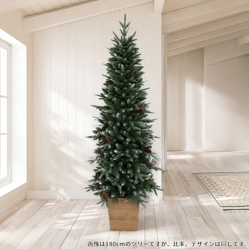 クリスマス】【～11/19まで】 クリスマスツリー ルツェルン ファー