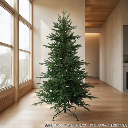 クリスマス】【～11/19まで】 クリスマスツリー イタリアンパイン