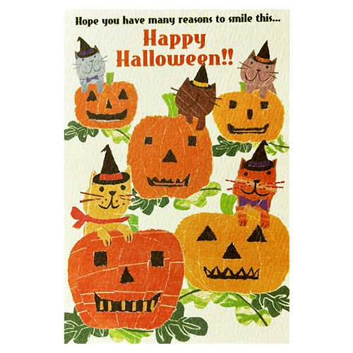 フライマテリアル ハロウィン限定の特別価格セット！メッツハックルと選べるオマケ付 フライマテリアル ハロウィン限定の特別価格セット！メッツ