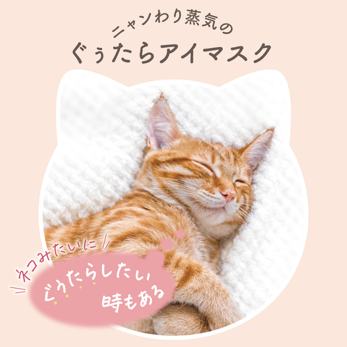 おもち様オーダーページおとぎの国の猫と仲間たちハンドメイドバッグポーチ