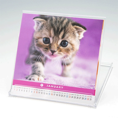 2022年版・卓上】風呂猫 なごみねこ FN-600│カレンダー 卓上