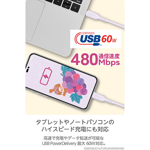 多摩電子工業 モンチッチ シリコンケーブル USB-C to USB-C 1m メロン