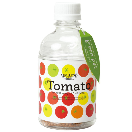 聖新陶芸 育てるグリーンペット Gd863 6 ミニトマト 園芸用品 ミニ盆栽 栽培キット 東急ハンズネットストア