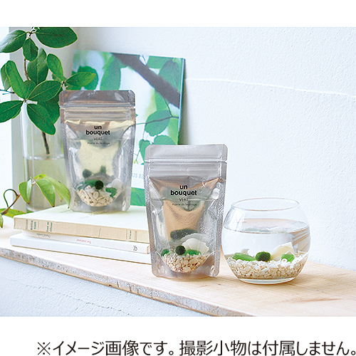 聖新陶芸 アレンジメントパック Gd 879 園芸用品 ミニ盆栽 栽培キット 東急ハンズネットストア