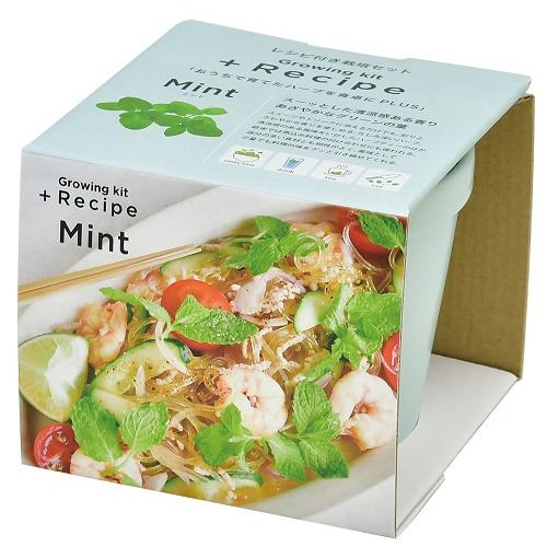 聖新陶芸 レシピ付き栽培セット Gd951 1 ミント 園芸用品 ミニ盆栽 栽培キット 東急ハンズネットストア