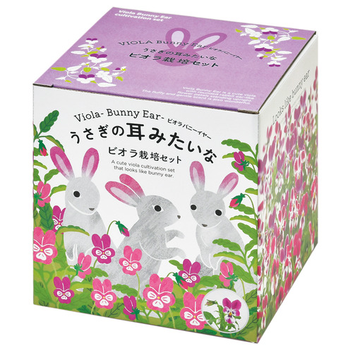 聖新陶芸 うさぎの耳みたいなビオラ栽培セット Gd968 園芸用品 ミニ盆栽 栽培キット 東急ハンズネットストア