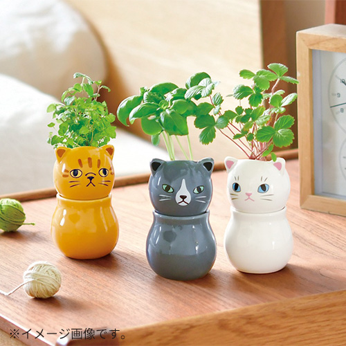 The Lucky Cat Mint ザ・ラッキーキャット　ミント　おまけ付き 楽天市場】the lucky cat mintの通販