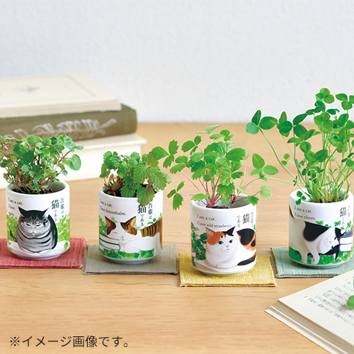 聖新陶芸 お芽でたおちょこ吾輩猫 GD1028－4 クローバー