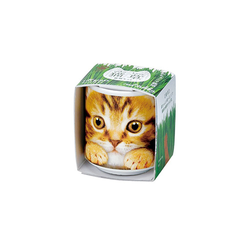 10/10までNO.2908✤失われた野生ねこ 雪の結晶 ハンドメイド チャーム