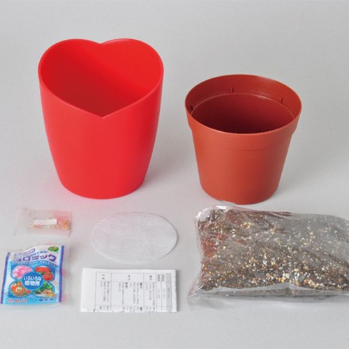 トマトさま専用 DAIM daim とまとの雨やどり 直径40cm×高さ150cm トマト とまと