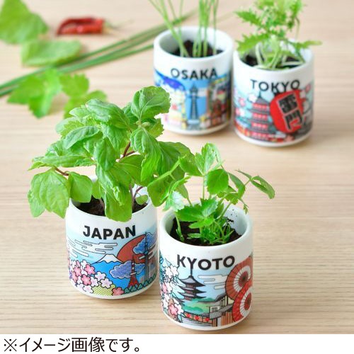 聖新陶芸 お芽でたおちょこJAPAN GD997－8 飛騨/ネギ｜【ハンズネット