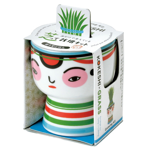 聖新陶芸 芝って栽培キット KOKESHI ぼうず GD1048-2｜【ハンズネット