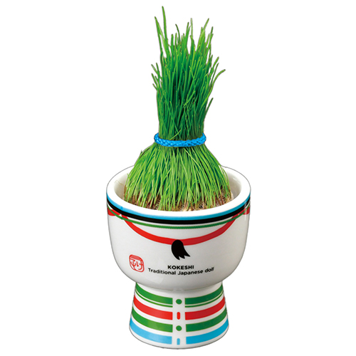 聖新陶芸 芝って栽培キット KOKESHI ぼうず GD1048-2｜【ハンズネット