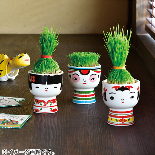 聖新陶芸 芝って栽培キット KOKESHI ぼうず GD1048-2｜【ハンズネット