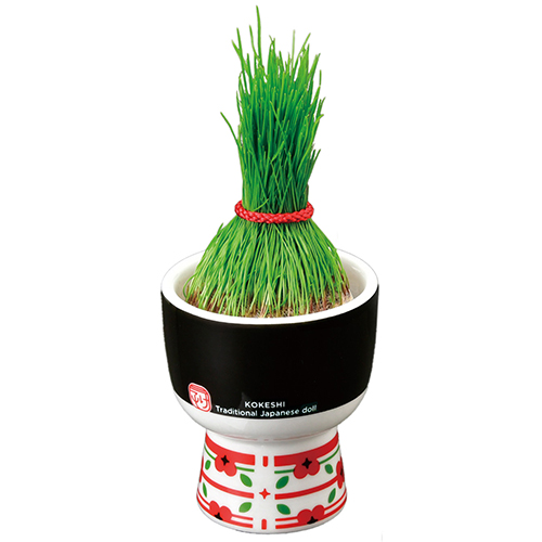 聖新陶芸 芝って栽培キット KOKESHI おかっぱ GD1048-3