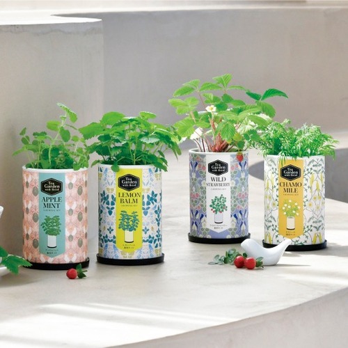 聖新陶芸 ティーガーデン GD1054-1 アップルミント｜【ハンズネット