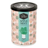 聖新陶芸 ティーガーデン GD1054-4 カモミール｜【ハンズネットストア】