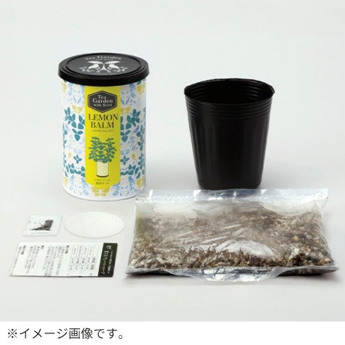 聖新陶芸 ティーガーデン GD1054-4 カモミール｜【ハンズネットストア】