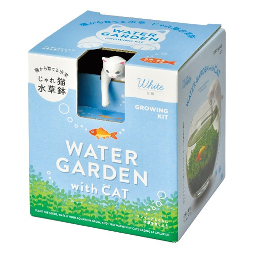 聖新陶芸 猫フィギュア付き水草栽培キット じゃれ猫水草鉢 GD1056-1 白