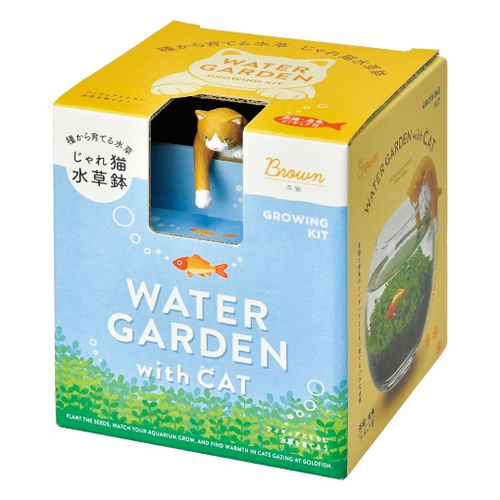 聖新陶芸 猫フィギュア付き水草栽培キット じゃれ猫水草鉢 GD1056-2 茶 