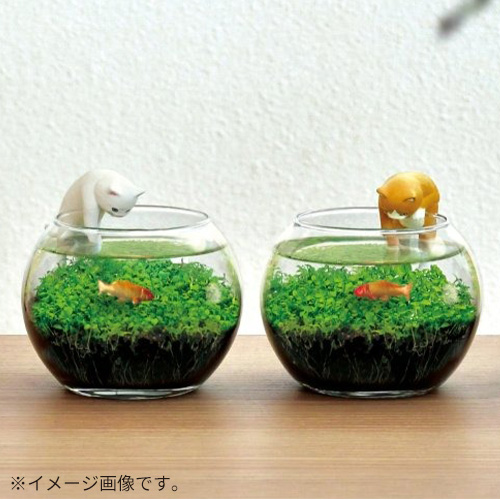 聖新陶芸 猫フィギュア付き水草栽培キット じゃれ猫水草鉢 GD1056-2 茶