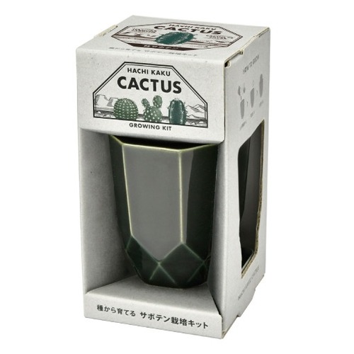 聖新陶芸 HACHIKAKU CACTUS GD1057-2 黒/柱サボテン｜【ハンズネット