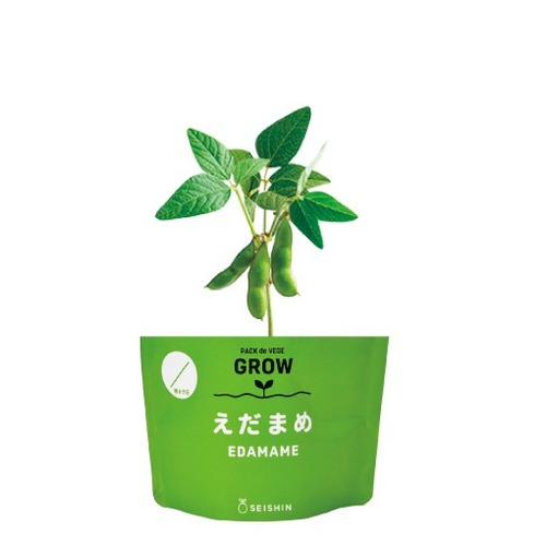 聖新陶芸 野菜栽培キット ベジパック GD1058-1 枝豆｜【ハンズネット