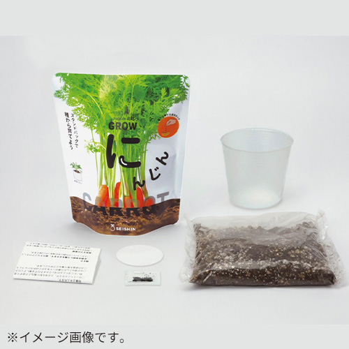 聖新陶芸 野菜栽培キット ベジパック GD1058-1 枝豆｜【ハンズネット