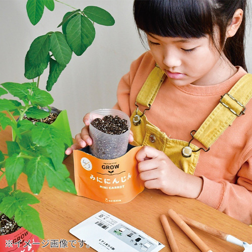 聖新陶芸 野菜栽培キット ベジパック GD1058-2 ミニキャロット
