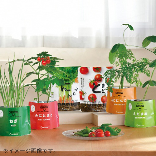 聖新陶芸 野菜栽培キット ベジパック GD1058-4 ミニトマト｜【ハンズ