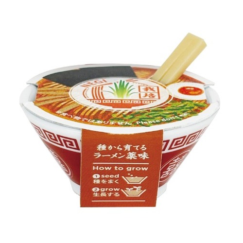 聖新陶芸 ラーメン薬味栽培キット GD1059-1 ネギ｜【ハンズネットストア】