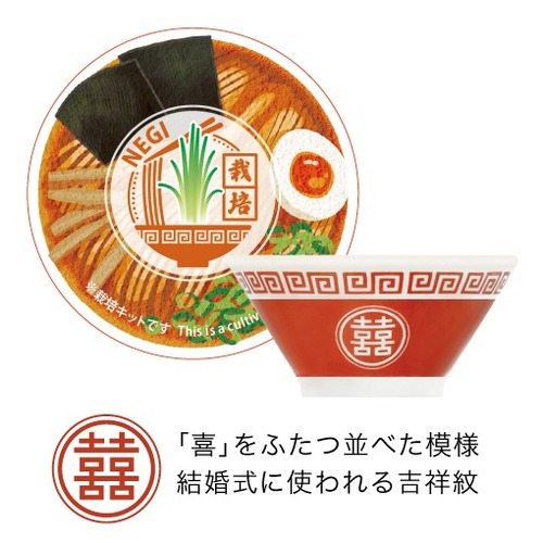 聖新陶芸 ラーメン薬味栽培キット GD1059-1 ネギ｜【ハンズネットストア】