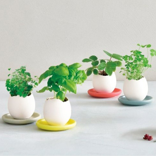 聖新陶芸 エッグリング＆ソーサー EG61-1 ミント｜【ハンズネットストア】