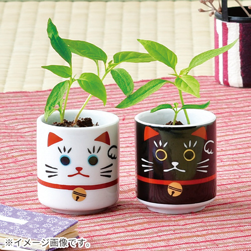 聖新陶芸 お芽でたおちょこ 招き GD1069-2 黒/五色唐辛子｜【ハンズ