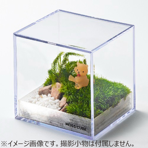 ミノル化学工業 ミノルキューブ UVカットシリーズ Lサイズ｜【ハンズ