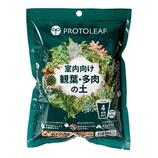 Top【選抜株】多肉植物　1441覇王　10個　鉢無し/脱土 プロトリーフ（PROTOLEAF） 室内向け観葉・多肉の土 10号鉢向け 8.4L