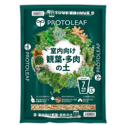 小鳥（山ぶどう）　ワイヤークラフト　蔓植物　半立体　蔓の実　木の実 新作からSALEアイテム等お得な商品満載】 小鳥（山ぶどう