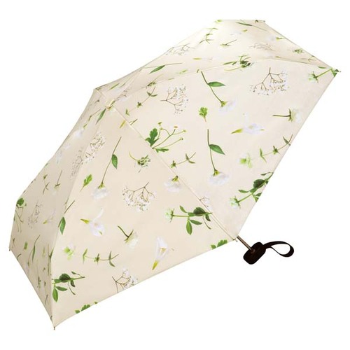 No.26 アンドコー アオリイカ ストラップ Lサイズ ムラムラチェリー