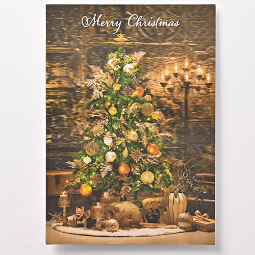 ♦︎ THE 真心ブラザーズ / メリークリスマス・ピース サンプル品 クリスマス】 イーズプロダクツ クリスマス3Dポストカード