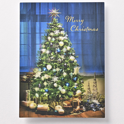 クリスマス】 イーズプロダクツ クリスマス3Dポストカード PX-4471