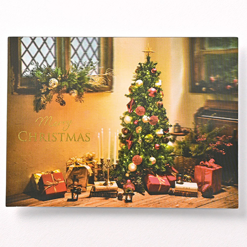 クリスマス】 イーズプロダクツ クリスマス3Dポストカード PX-4472