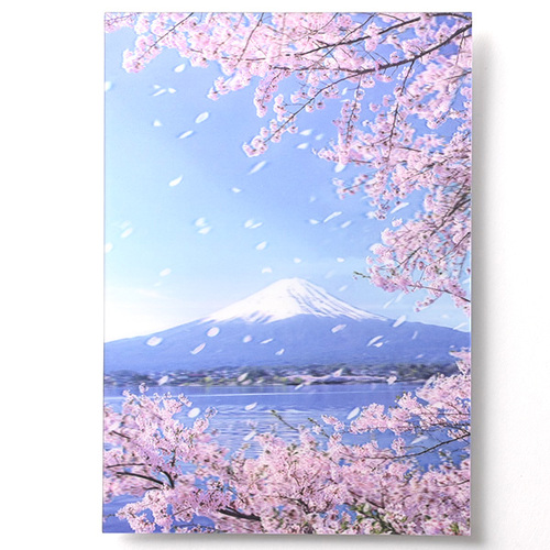 EASE（イーズ） サクラ3Dポストカード PN-1301｜【ハンズネットストア】